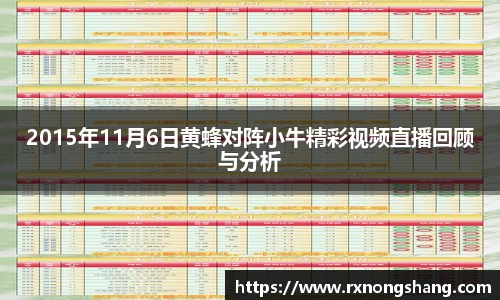 2015年11月6日黄蜂对阵小牛精彩视频直播回顾与分析